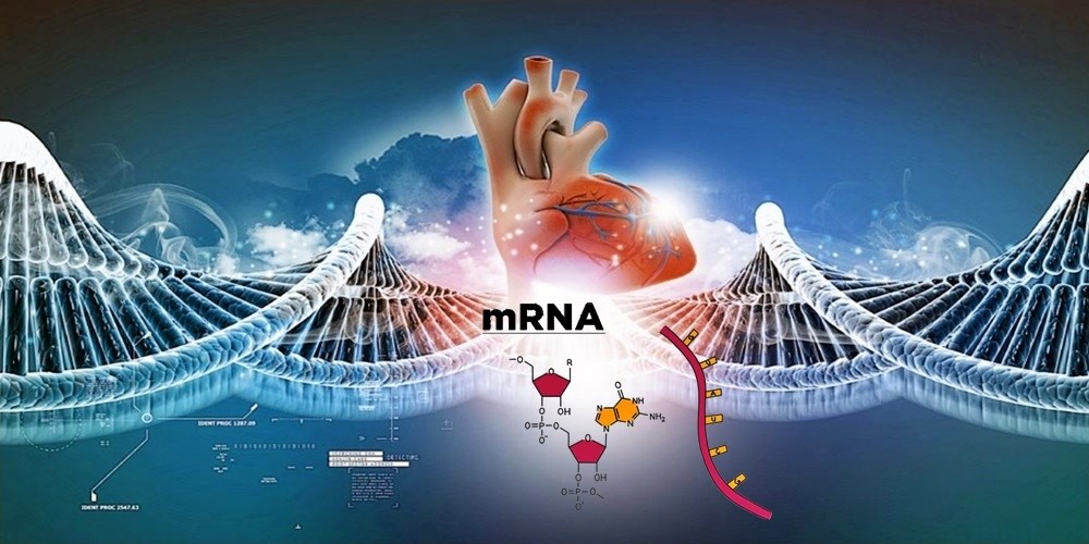 Covid 19 Aşısı Kalp de Kalıcı Hasara Sebep Olabilir!!