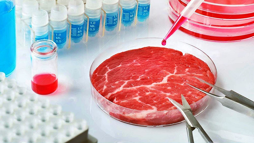 Yapay Et Biyolojik Kitle İmha Silahıdır