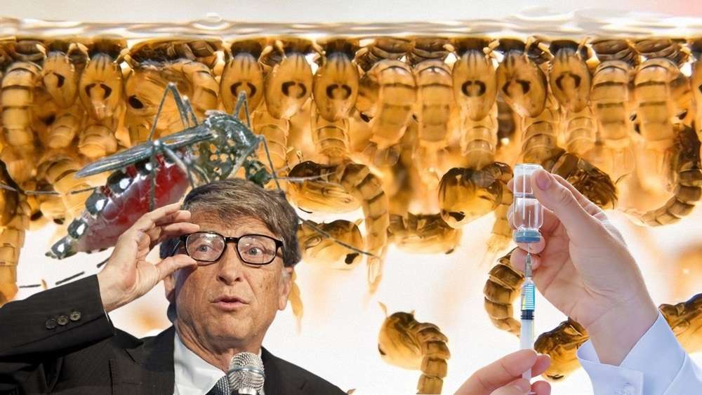 Virüslü Sivrisinekler Propagandasındaki Amaç Nedir?