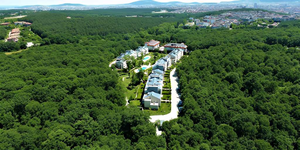 Erdoğan’ın 6,5 Milyarlık Ağaç Bayramı Ne Değildir?