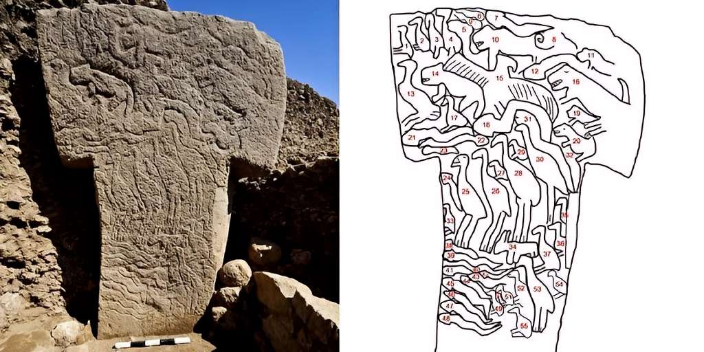 Esaretin Şifresi: Bilgi Kırbacı Altında Köleleşen Zihinler